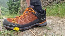 Salewa Mountain Trainer Lite